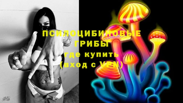 таблы Сосновый Бор